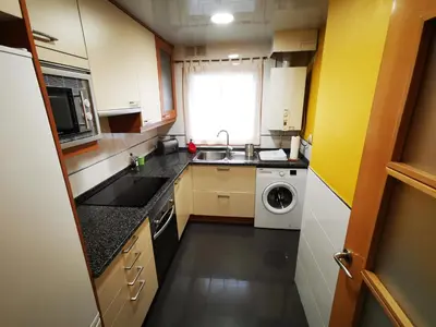 a small kitchen with a sink and a dishwasher at Elsi's place in Premiá de Mar