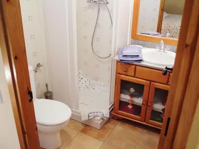 a bathroom with a toilet and a sink and a shower at Cottage in Maians with Pool and Garden in Castellfullit del Boix