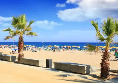 a beach with palm trees and people on the beach at Vivalidays ilaria - Calella in Calella