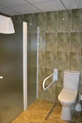 a bathroom with a toilet and a shower at Hotel Don Pelayo in Arbós