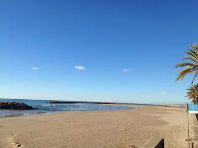 a beach with a palm tree and the ocean at Apartamento Primera Linea de Mar, Cunit in Cunit