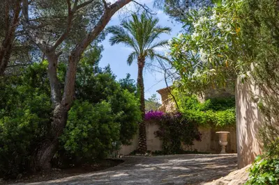 a street with a palm tree and a house at Casa Jasmin at Masia Nur Sitges, Adults only in Canyelles