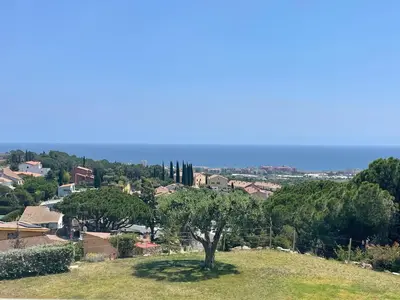 a tree sitting on top of a green hill at Palm Maresme - Suite with bathroom and terrasse with ocean views in a private villa in Vilassar de Dalt