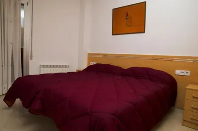 a bedroom with a purple comforter on a bed at Apartamentos Navas in Barcelona