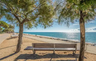 a park bench between two trees on a beach at HomeHolidaysRentals Frida in Pineda de Mar