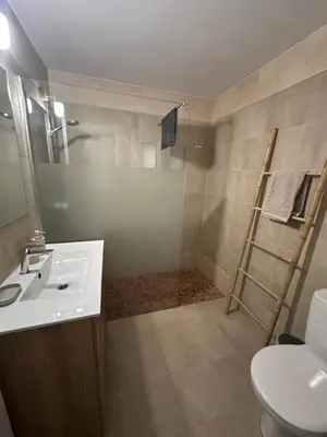 a bathroom with a toilet and a sink and a shower at Apartment Eixample Dret Aragon - Sardenya in Barcelona