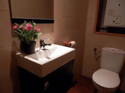 a bathroom with a sink and a toilet and flowers at Barcelona Central Garden Hostal in Barcelona