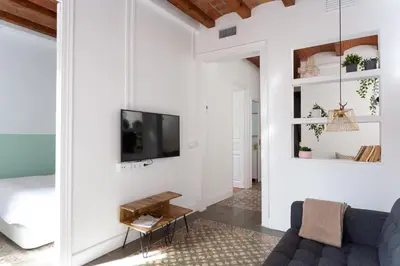 a living room with a couch and a tv at Casa Cosi - Sant Gervasi 1 in Barcelona