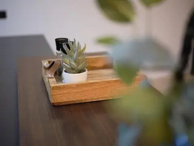 a small plant in a wooden box on a table at Poble Nou I You Stylish Apartments in Barcelona