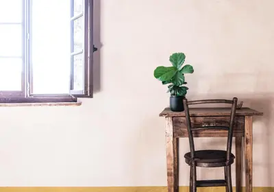 a plant sitting on a table next to a chair at Masia Mediterranian Country House Ca l'Isidre Torrent in Sant Cebrià de Vallalta
