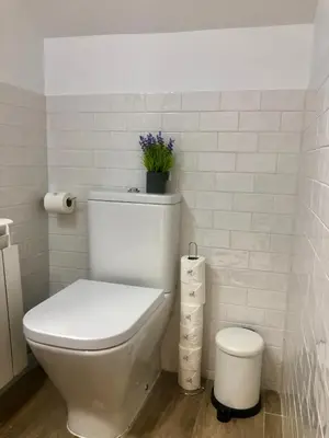 a bathroom with a toilet with a plant on top of it at Vilamarlux III in Vilassar de Mar