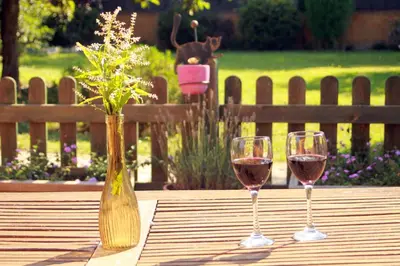two glasses of wine sitting on a wooden table at Ca L'Estrada in Sant Esteve de Palautordera
