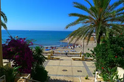 a beach with a palm tree and the ocean at La Marina SeaView Penthouse in Sitges