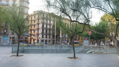 two trees on a city street with buildings at Spacious Duplex in Barcelona with outdoor terrace - 180 m² in Barcelona