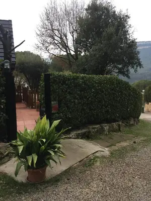 a potted plant sitting on a sidewalk next to a hedge at Caseta de Fusta in Aiguafreda