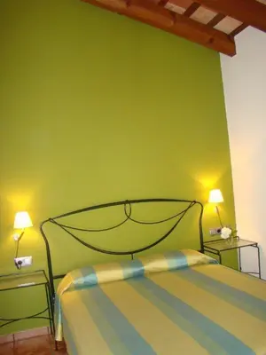 a bedroom with a green wall with a bed at Can Vilafort in Collsuspina