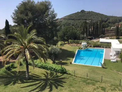 a villa with a palm tree and a swimming pool at Casa Vila Reyes in Sant Vicenç de Montalt