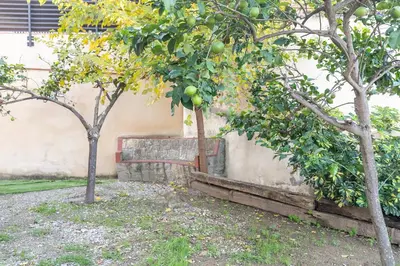 two trees and a bench next to a wall at TOWANDA HOUSE in Sant Just Desvern