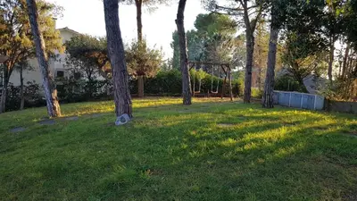 a park with trees and a swing set in the grass at Can Ramón in Caldes de Montbui