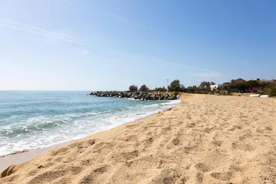 a beach with a flock of birds sitting on the sand at vilasardemarlux3 in Vilassar de Mar