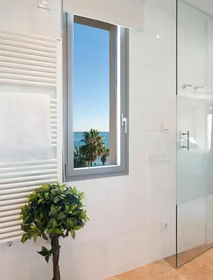 a bathroom with a shower and a window and a plant at Kronos on the Beach Attic Suite in Barcelona