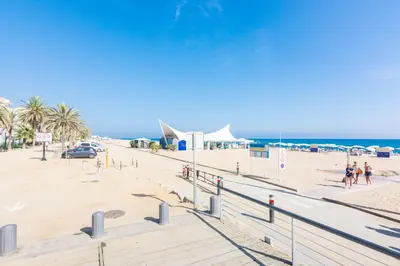 a sandy beach with palm trees and the ocean at HomeHolidaysRentals Moana in Calella