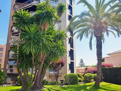 two palm trees in front of a building at Apartment Edificio Blanqueries by Interhome in Calella