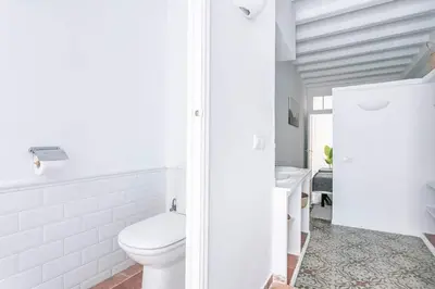 a white bathroom with a toilet and a sink at Exquisite&historic Flat With Rooftop in Barcelona