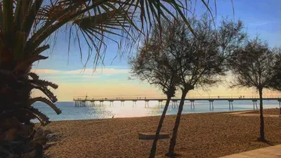 a view of a beach with a pier in the water at Gran casa al lado de la playa y Barcelona Centro in Badalona