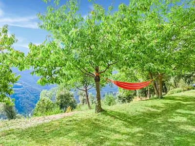 a hammock hanging from a tree in a field at Holiday Home Montseny with Pool in Montseny