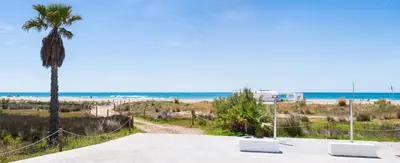 a view of a beach with two chairs and a palm tree at Maka beach apartment v in Castelldefels