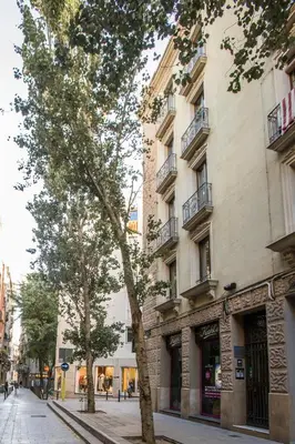 a tree on a street in front of a building at BCNGOTIC 41 in Barcelona