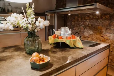 a kitchen counter with a vase of flowers and a bowl of fruit at Cal Pau Cruset in Torrellas de Foix