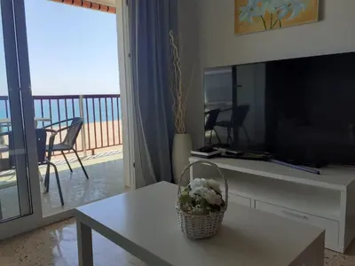 a living room with a television and a table with flowers on it at Suitur apartamento primera linea mar vistas playa in Canet de Mar