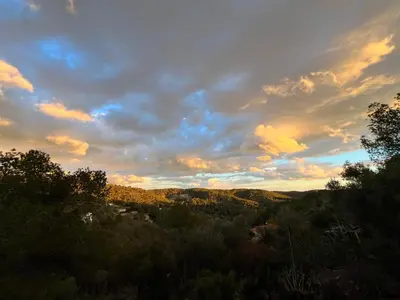 a view of a forest with a cloudy sky at TERRAVU in Sant Pere de Ribes