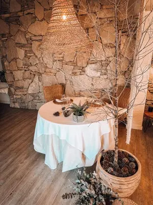 a table with a potted tree in a room at Suite con Burbuja in Canyelles