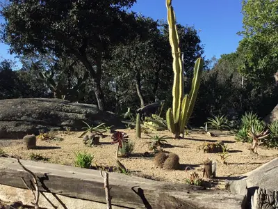 a garden with a cactus and other plants at Casa Feliz in Sant Cebrià de Vallalta