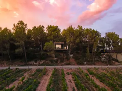 a house in the middle of a field with trees at Les Cabanes de l'Oller del Mas in Manresa