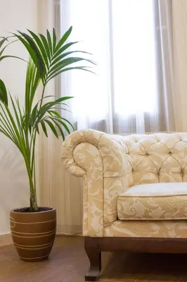 a living room with a couch and a potted plant at Hostal Excellence in Barcelona