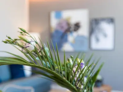 a green plant sitting on a table in a room at Sitges Spaces Seaside Beach Flat- 4 Bedroom, 2 Bathroom, Terrace, Near Beach in Sitges
