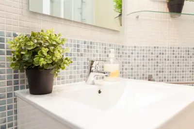 a bathroom sink with a potted plant on it at Stay Barcelona Plaza España Fira in Barcelona