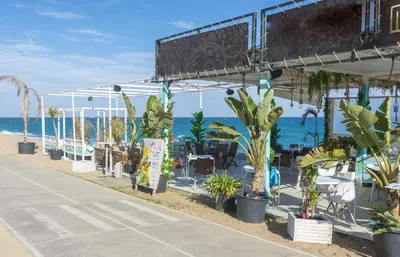 a group of potted plants on the beach at HomeHolidaysRentals Plume - Costa Barcelona in Pineda de Mar