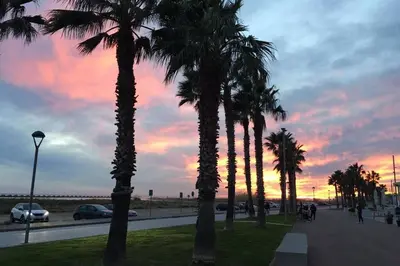 a group of palm trees on a sidewalk with a sunset at Apartamento para 5 personas frente al mar con piscina y parking in Cubelles