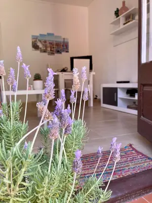 a bunch of purple flowers in a living room at Sagrada Familia Apartamento eco friendly in Barcelona