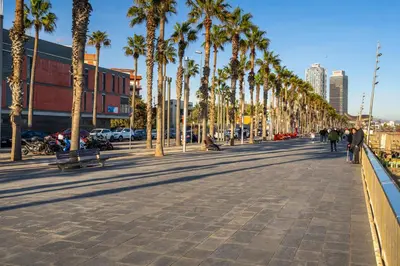 a sidewalk lined with palm trees in a city at Kronos on the beach Suite 2 in Barcelona