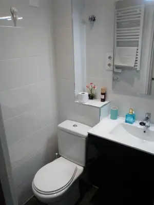a white bathroom with a toilet and a sink at Colom Apartments in Barcelona