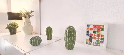 a shelf with cactuses and a picture and a vase at Apartamento Centric para 6 cerca de a playa y el tren in Premiá de Mar
