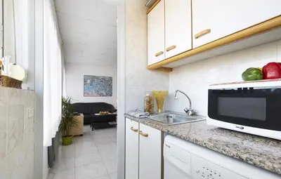 a kitchen with a sink and a microwave at Apartamentos Calvet in Barcelona