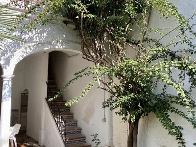 a staircase in a building with a plant at El masnou in Masnou