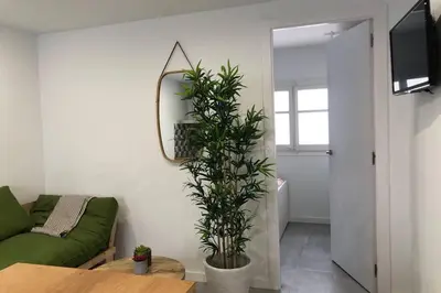 a living room with a green couch and a plant at M3 Terrace. Cool apartment 15 min center by metro in Esplugues de Llobregat